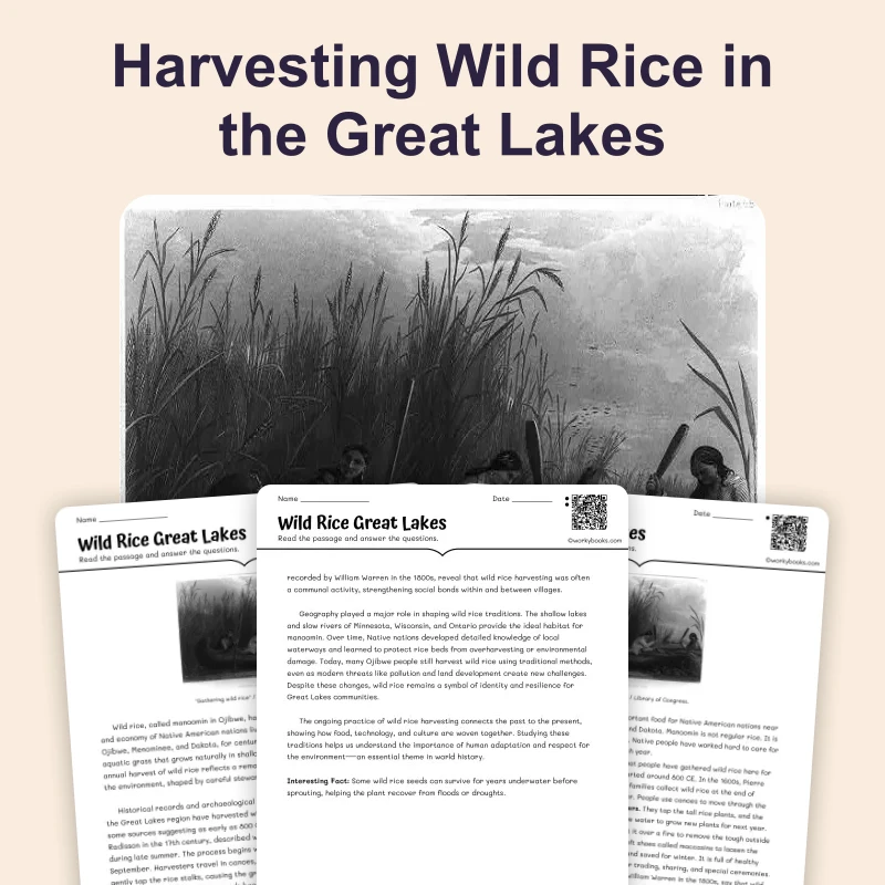 Wild Rice of the Great Lakes — reading — reading comprehension for Grade 5, Grade 6, Grade 7, Grade 8, page 1 of 4