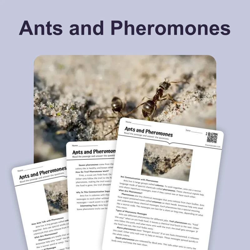 Ants and Pheromones — ela — reading comprehension for Grade 2, Grade 3, Grade 4, Grade 5, page 1 of 4
