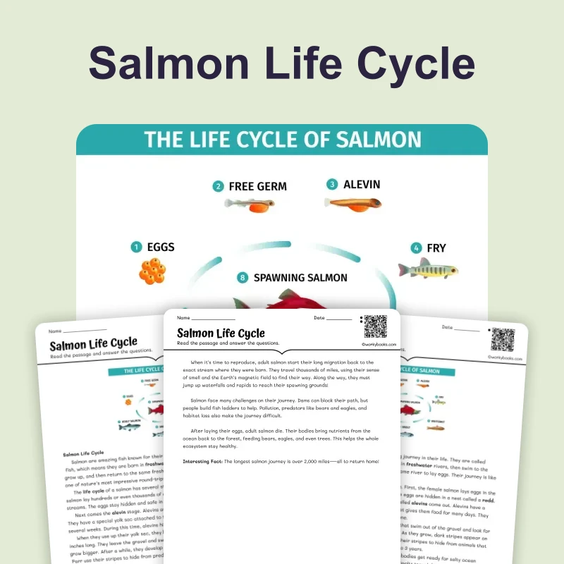 The Life Cycle of a Salmon — ela — reading comprehension for Grade 4, Grade 5, page 1 of 4