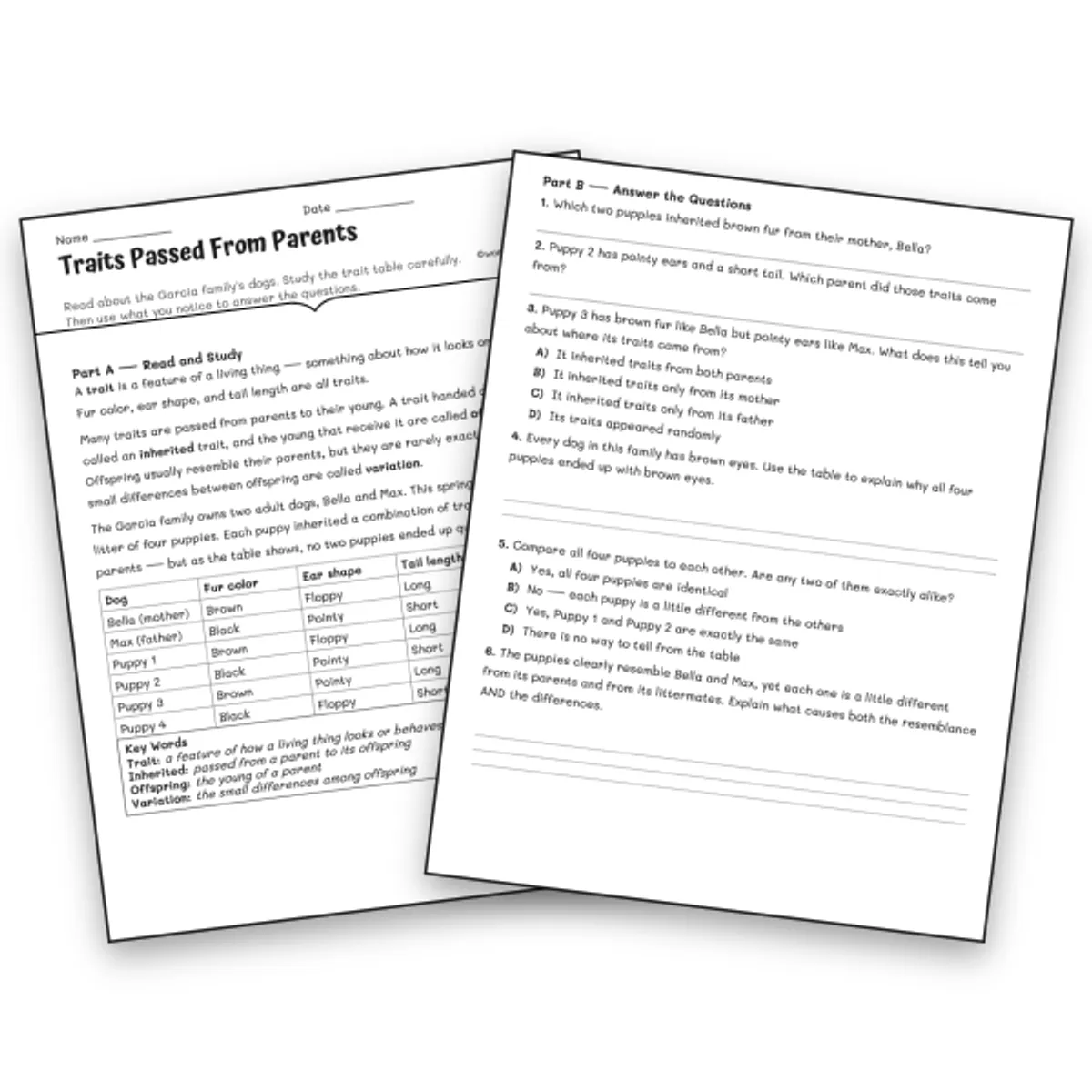 Traits Passed From Parents — science worksheet for Grade 3, Grade 4, Grade 5, page 1 of 1