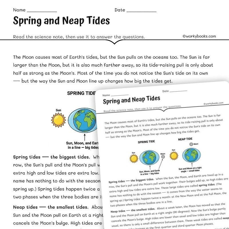 Spring and Neap Tides — science worksheet for Grade 6, Grade 7, Grade 8, page 1 of null