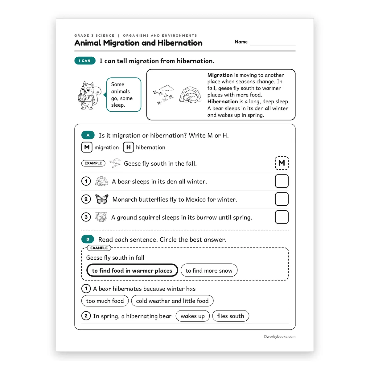 3rd Grade Animal Migration and Hibernation — science worksheet for Grade 3, page 1 of 2