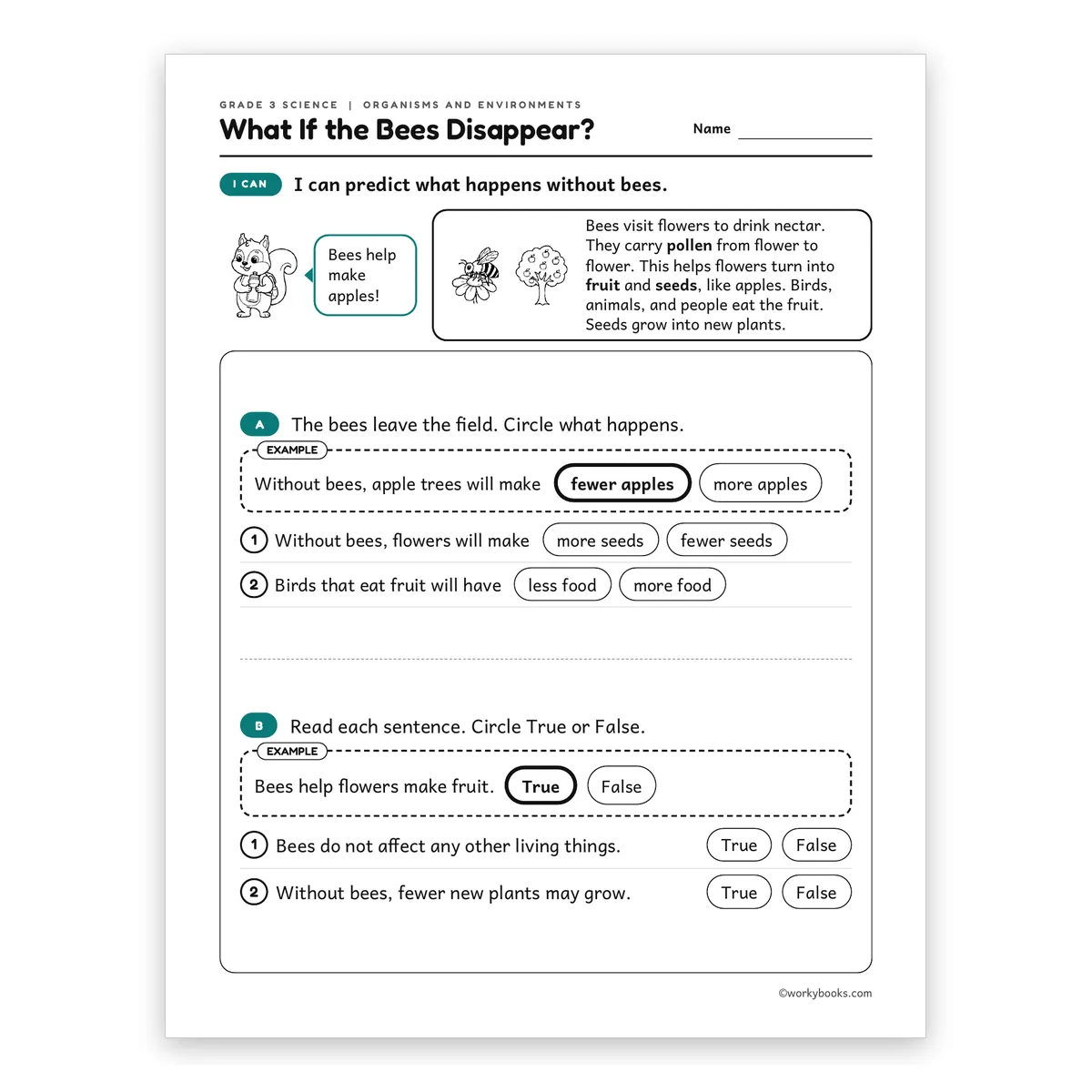 3rd Grade What If the Bees Disappear? — science worksheet for Grade 3, page 1 of 2