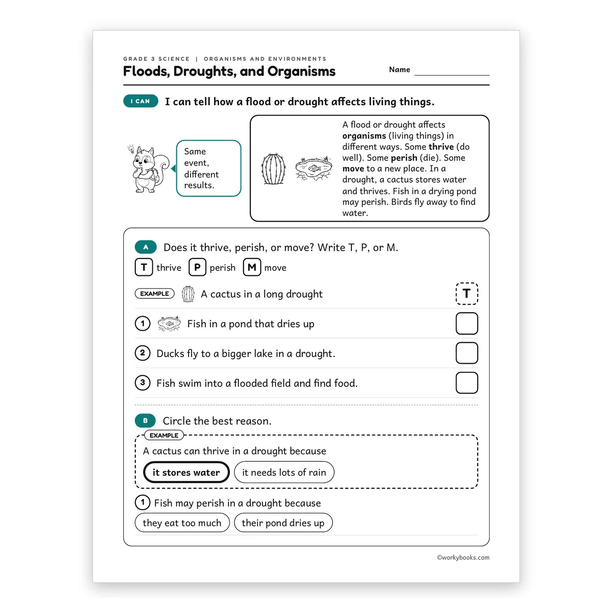 3rd Grade Floods, Droughts, and Organisms — science worksheet for Grade 3, page 1 of 2