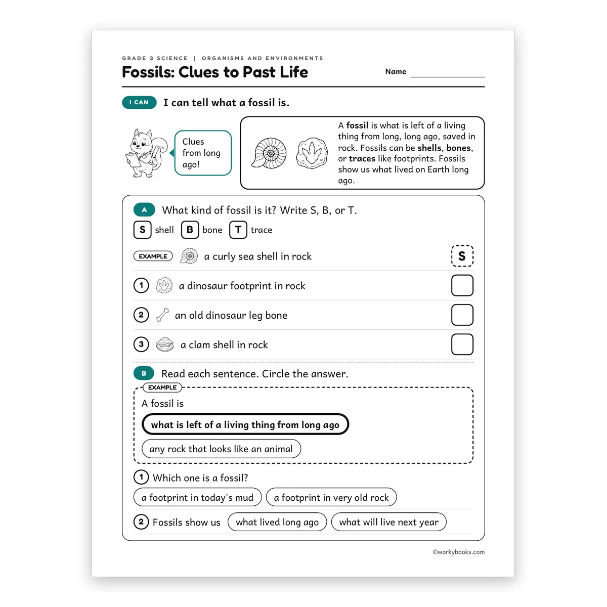 3rd Grade Fossils: Clues to Past Life — science worksheet for Grade 3, page 1 of 2