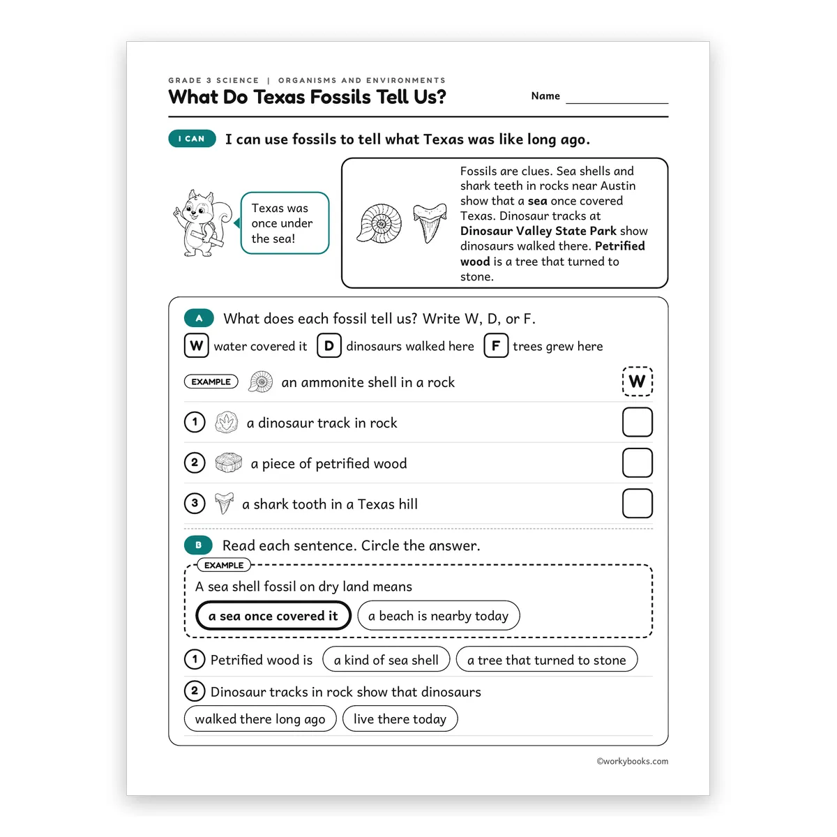 3rd Grade What Do Texas Fossils Tell Us? — science worksheet for Grade 3, page 1 of 2