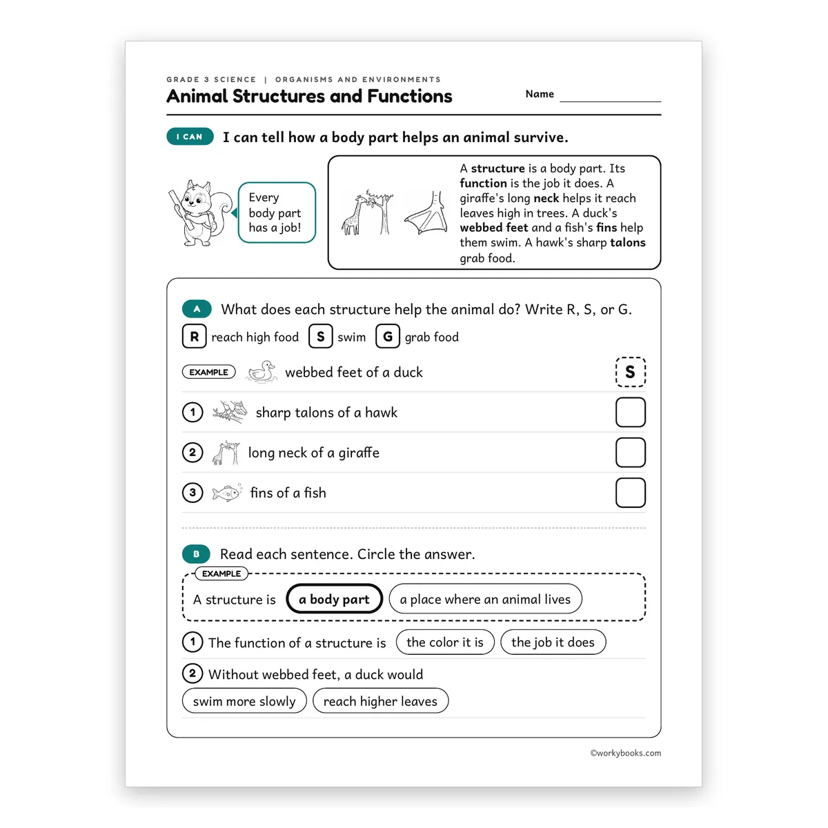 3rd Grade Animal Structures and Functions — science worksheet for Grade 3, page 1 of 2