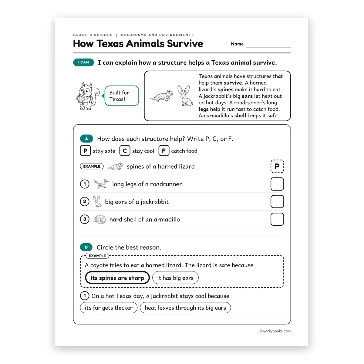 3rd Grade How Texas Animals Survive — science worksheet for Grade 3, page 1 of 2