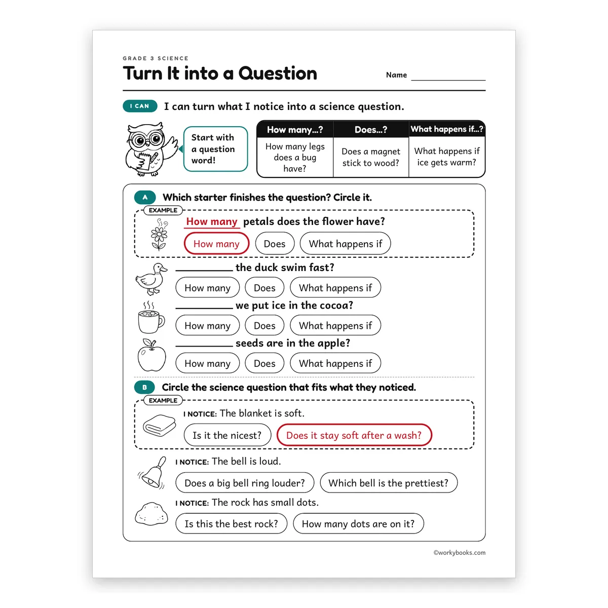 Turn It into a Question — science worksheet for Grade 3, page 1 of 2