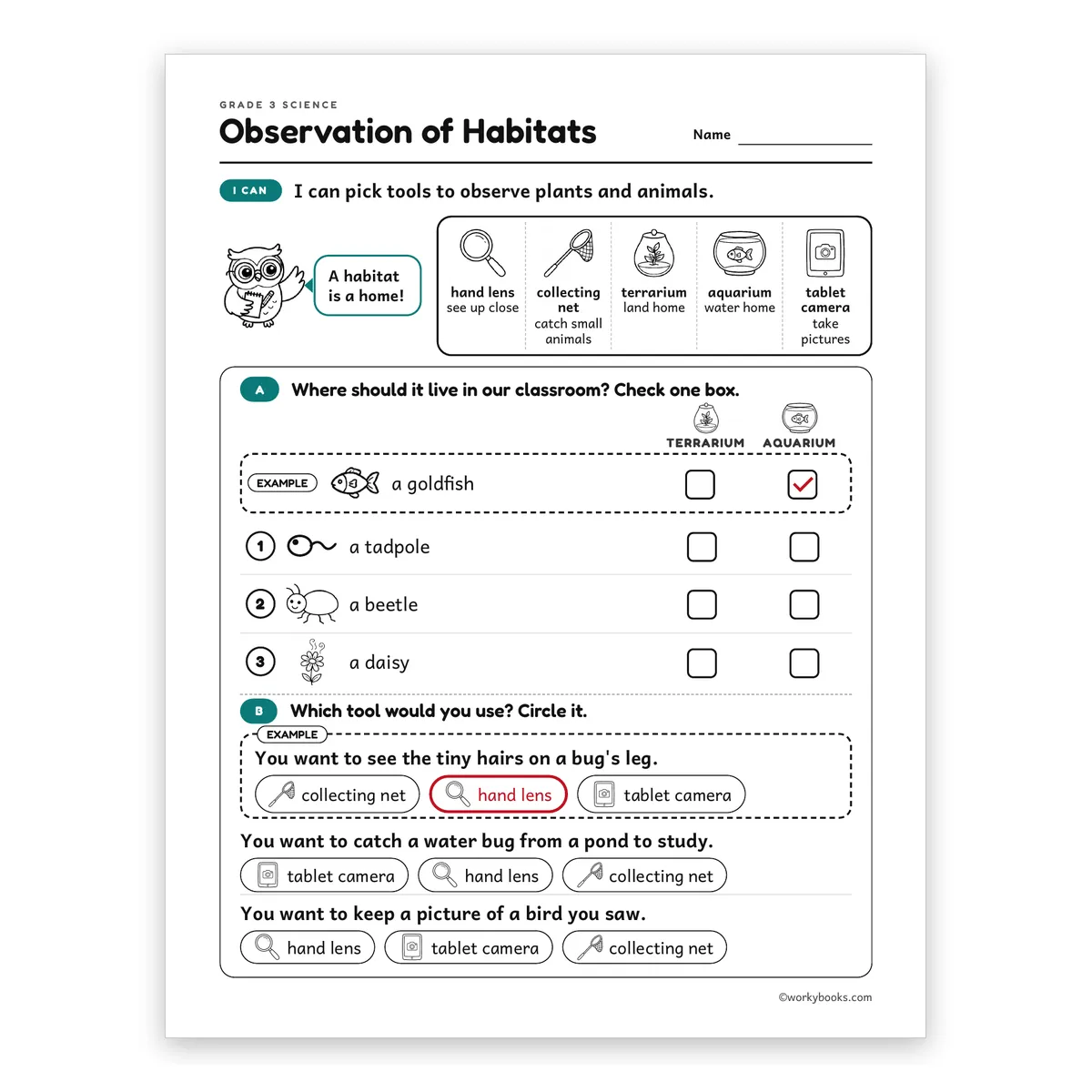 Observation of Habitats — science worksheet for Grade 3, page 1 of 2