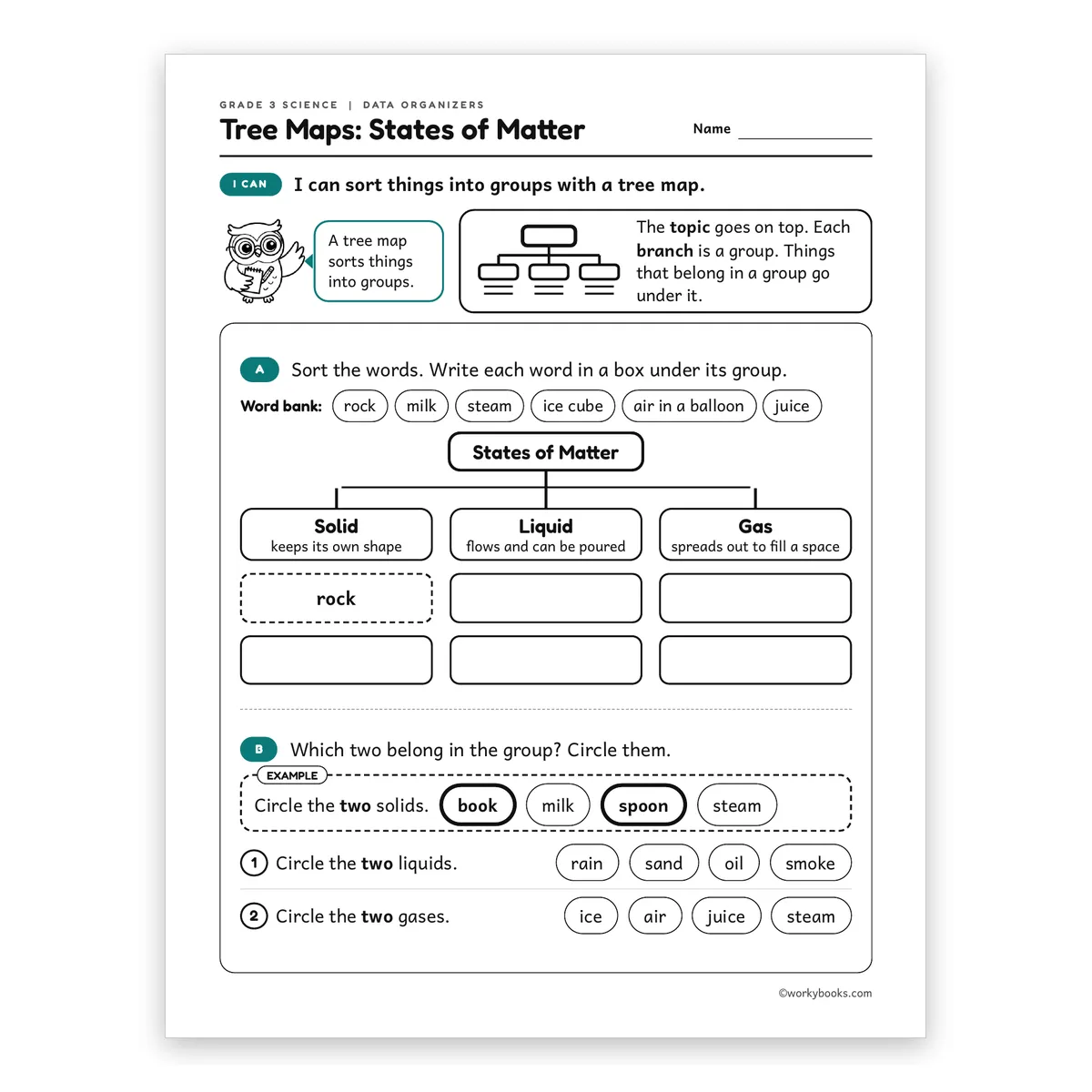 3rd Grade Tree Maps: States of Matter — science worksheet for Grade 3, page 1 of 2