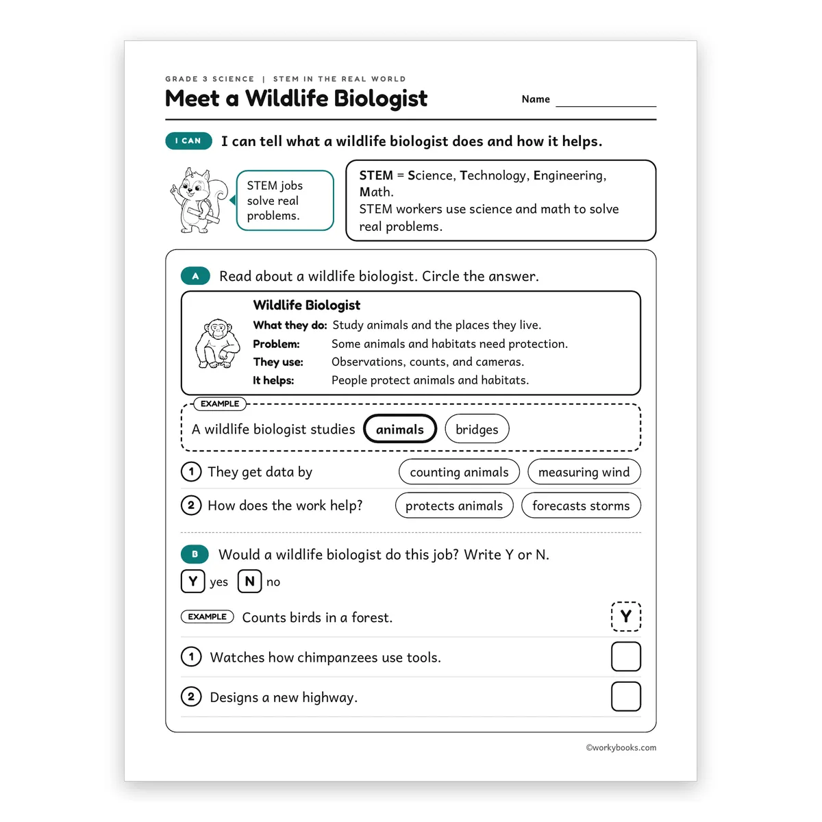 3rd Grade STEM Careers Meet a Wildlife Biologist — science worksheet for Grade 3, page 1 of 2