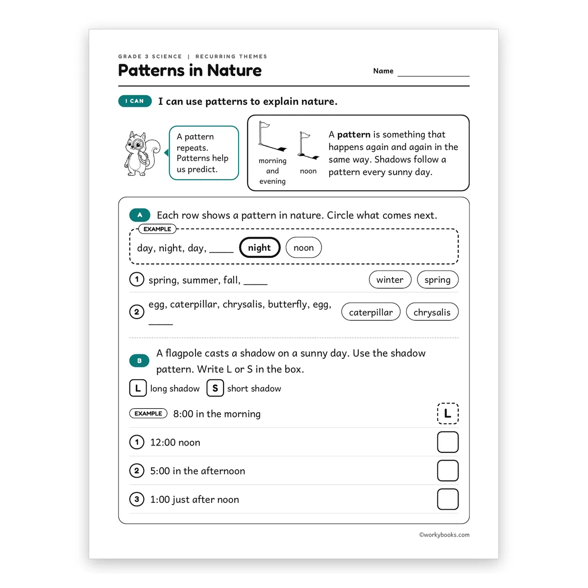3rd Grade Patterns in Nature — science worksheet for Grade 3, page 1 of 2