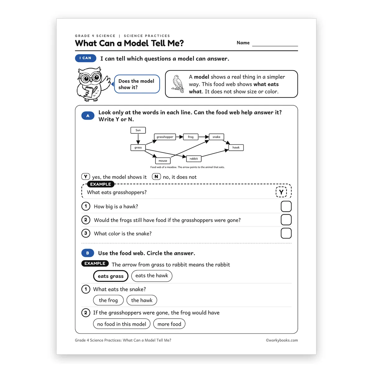 What Can a Model Tell Me? — science worksheet for Grade 4, page 1 of 2