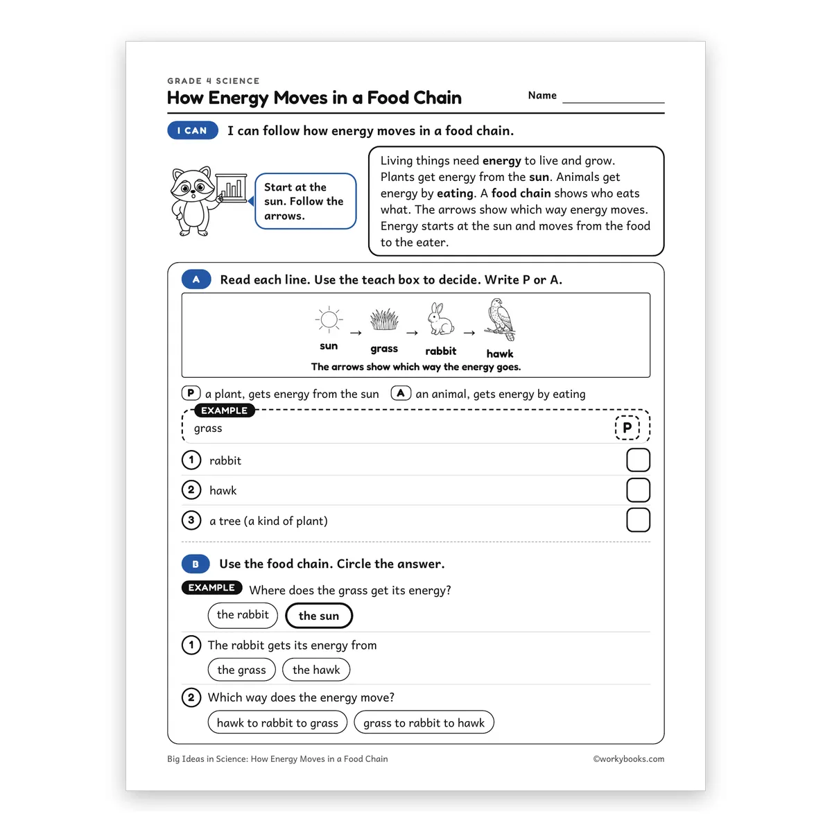 How Energy Moves in a Food Chain — science worksheet for Grade 4, page 1 of 2