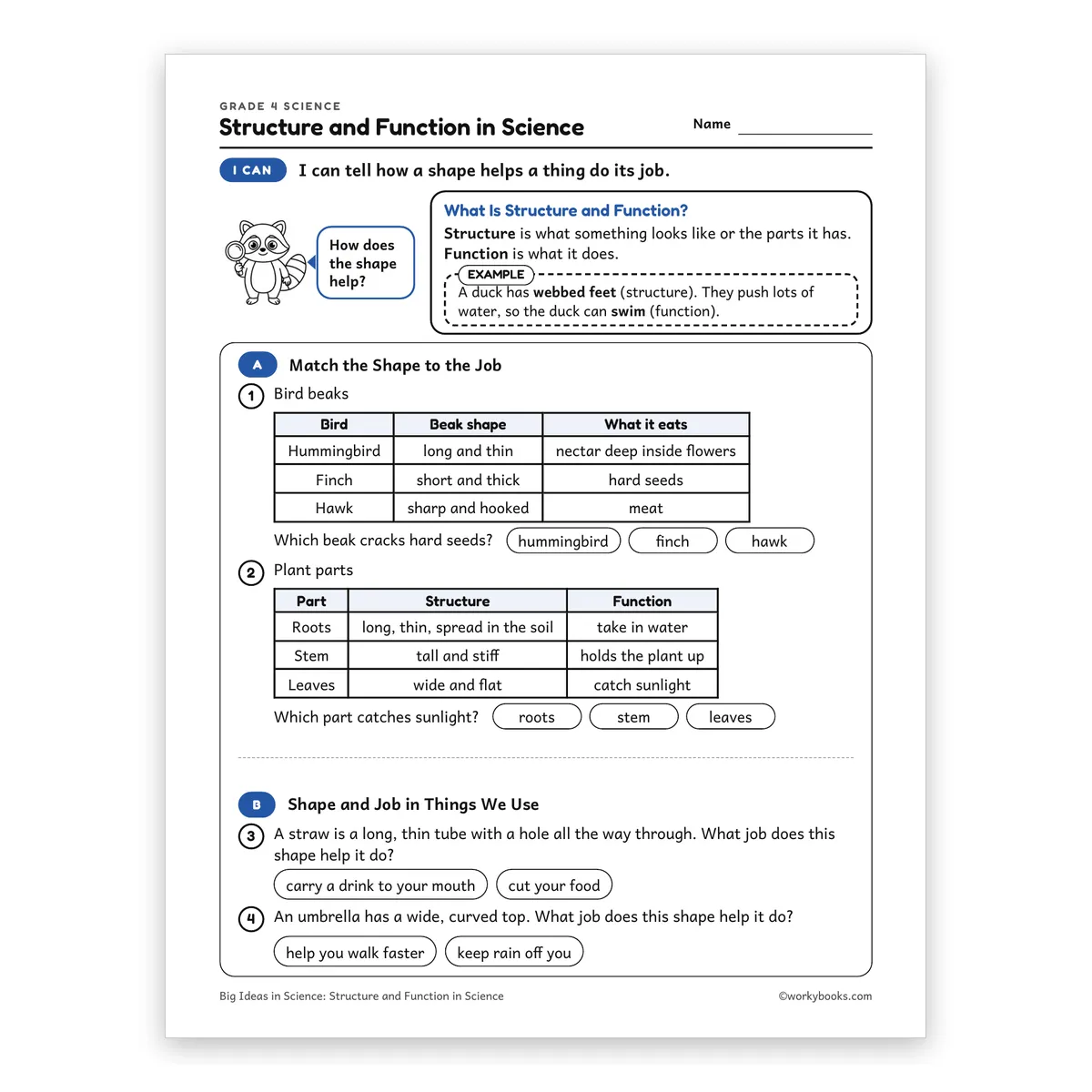 Structure and Function in Science — science worksheet for Grade 4, page 1 of 2