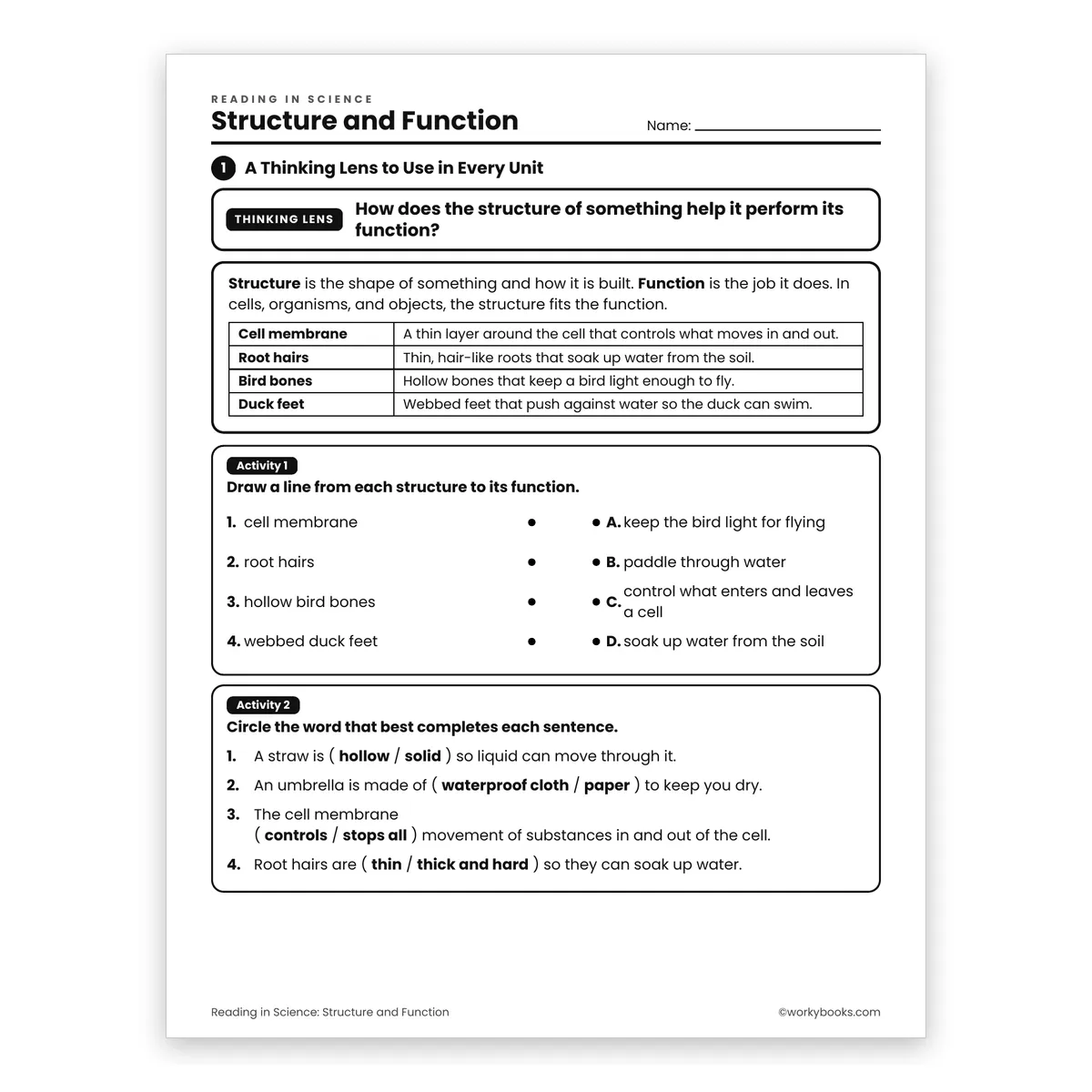 Structure and Function — science worksheet for Grade 6, page 1 of 2