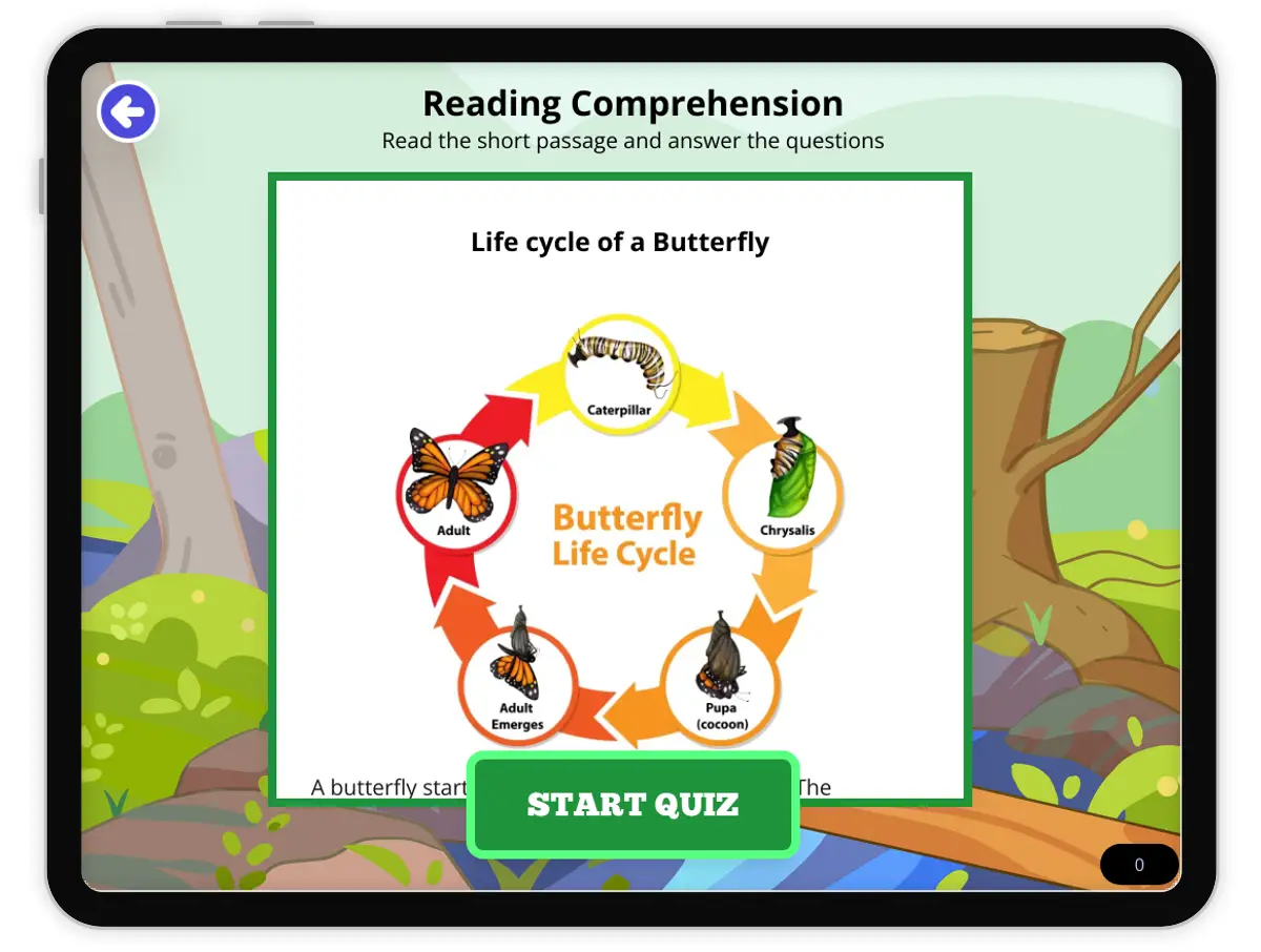 Interactive — Reading Comprehension preview: Life cycle of a Butterfly covering RI.4.2, RI.4.3, RI.4.4, RI.5.1, RI.5.3, RI.5.4 standards - Page 1 of null