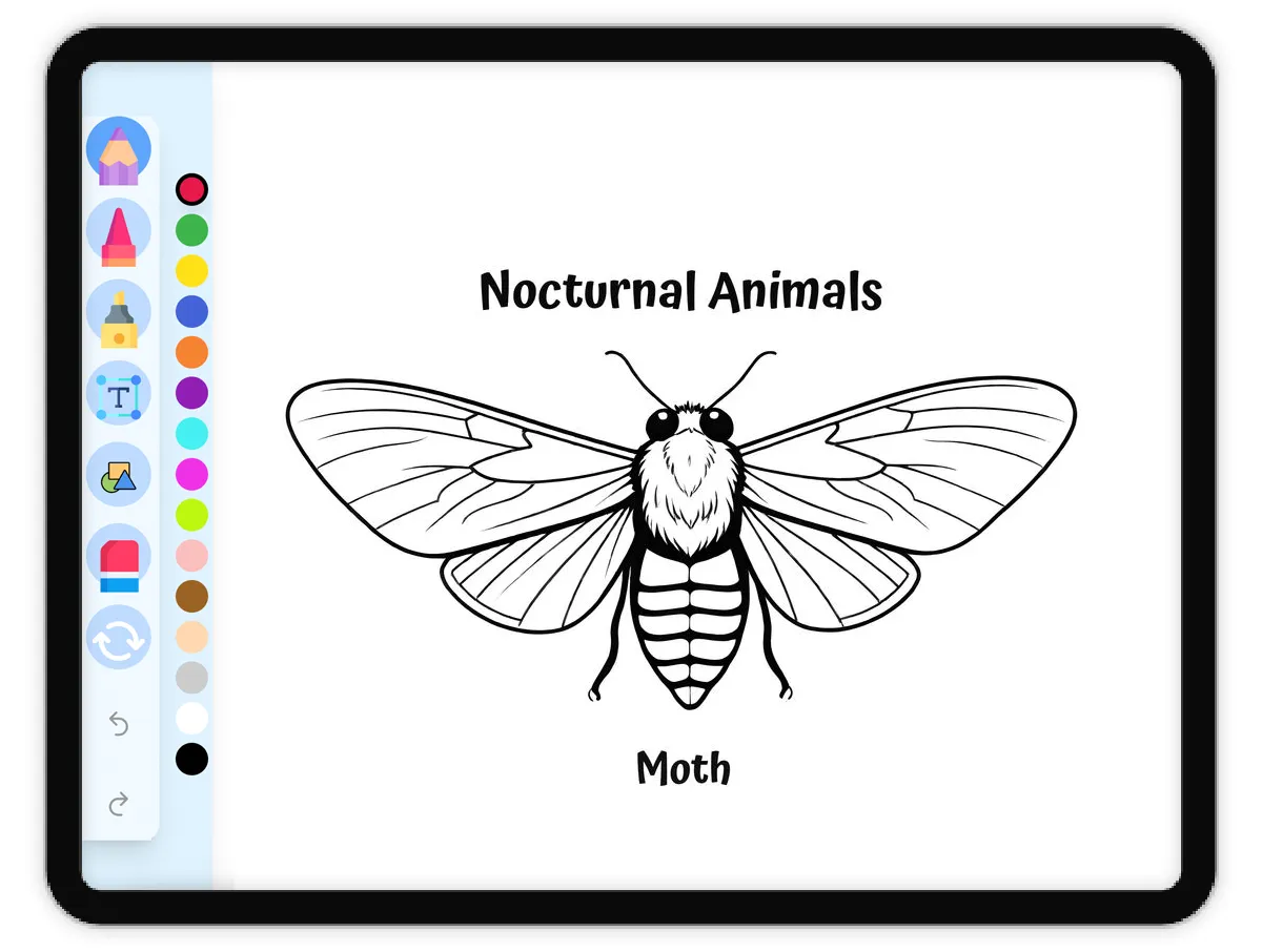 Interactive coloring page preview: Graceful Moth - A fun educational coloring activity - Page 1