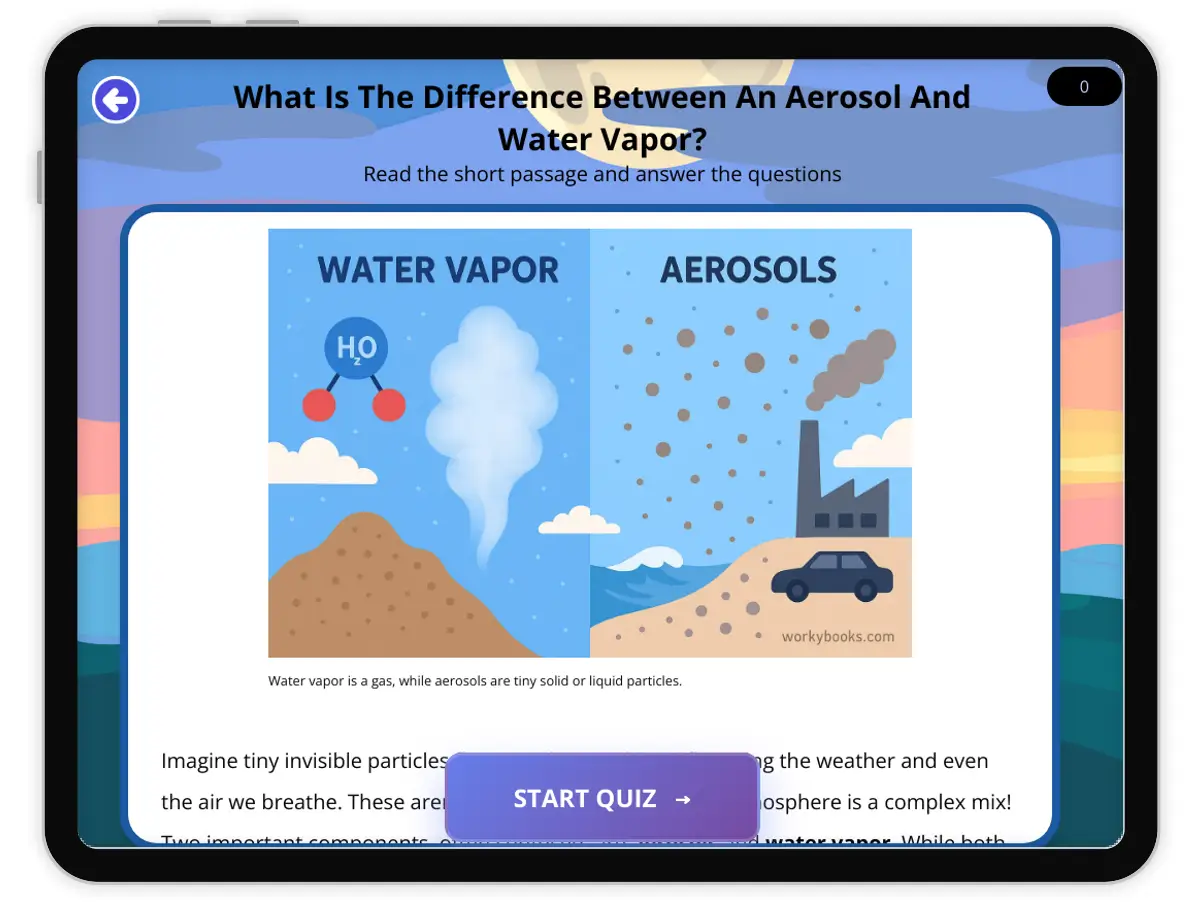 Interactive — Reading Comprehension preview: What Is The Difference Between An Aerosol And Water Vapor? covering  standards - Page 1 of 1