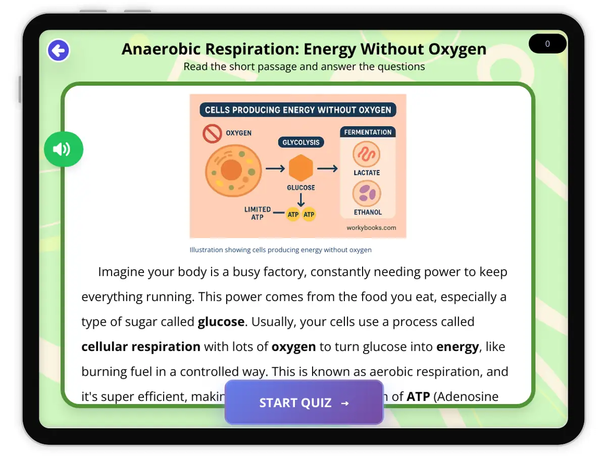 Interactive — Reading Comprehension preview: Anaerobic Respiration covering  standards - Page 1 of 1