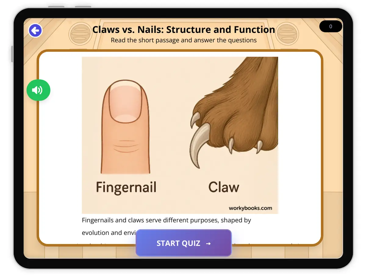 Interactive — Reading Comprehension preview: Claws vs. Nails: Structure and Function covering  standards - Page 1 of 1