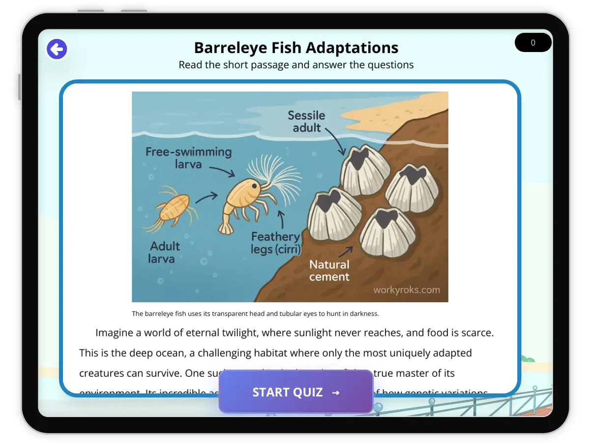 Interactive — Reading Comprehension preview: Barreleye Fish Adaptations covering  standards - Page 1 of 1