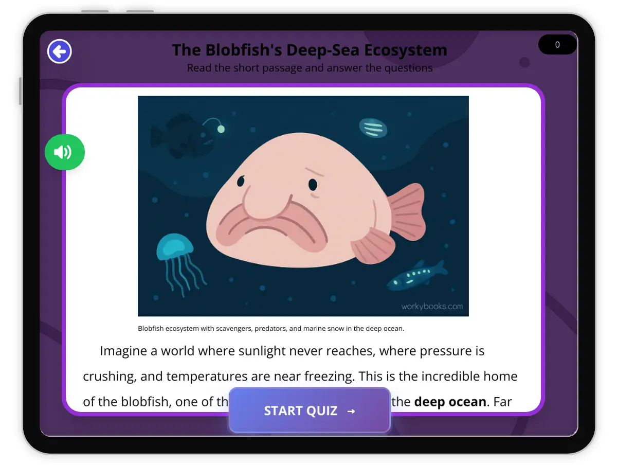 Interactive — Reading Comprehension preview: The Blobfish's Deep-Sea Ecosystem covering  standards - Page 1 of 1
