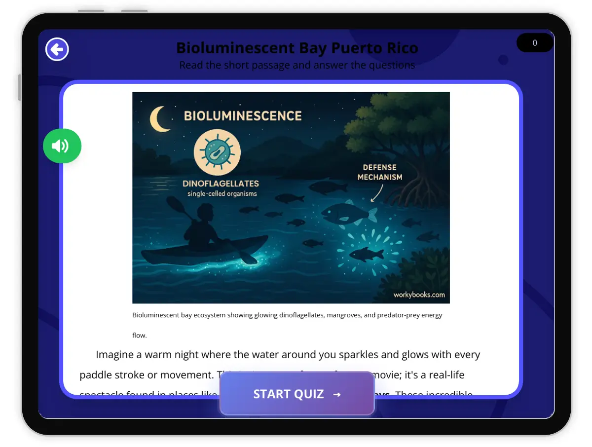 Interactive — Reading Comprehension preview: Bioluminescent Bay Puerto Rico covering  standards - Page 1 of 1