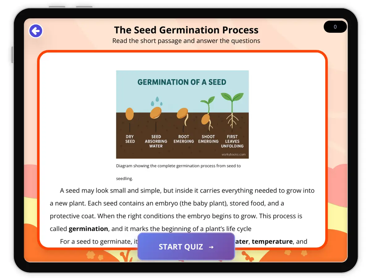 Interactive — Reading Comprehension preview: The Seed Germination Process covering  standards - Page 1 of 1