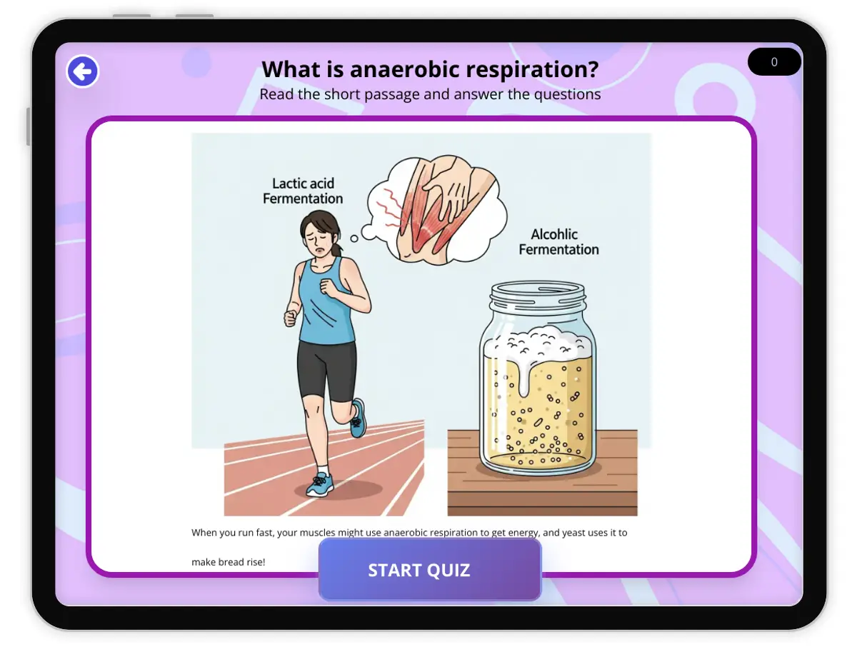 Interactive — Reading Comprehension preview: What is Anaerobic Respiration? covering  standards - Page 1 of null
