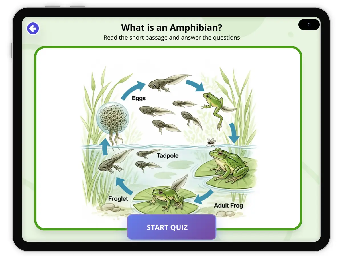 Interactive — Reading Comprehension preview: What is an amphibian covering  standards - Page 1 of null