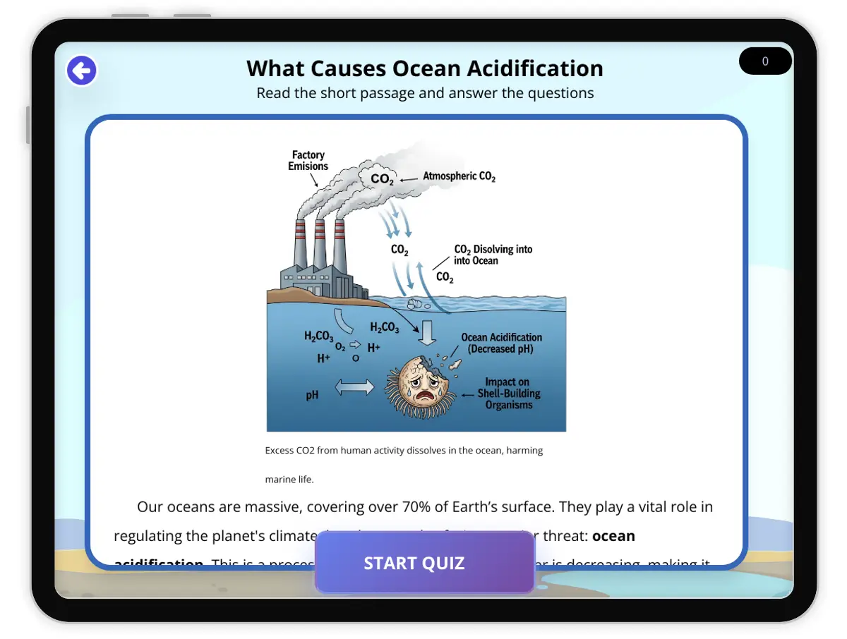Interactive — Reading Comprehension preview: What Causes Ocean Acidification covering  standards - Page 1 of null