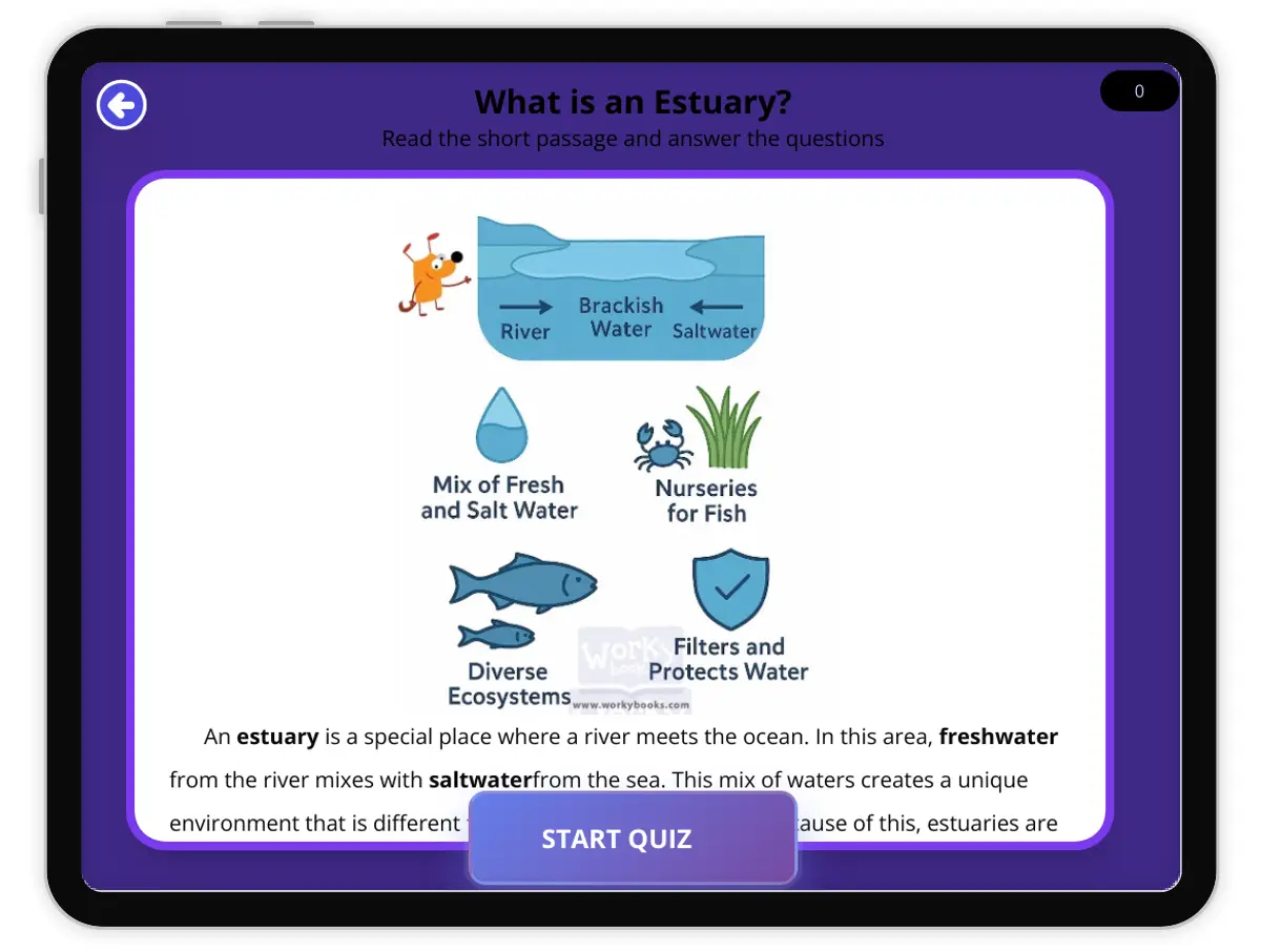 Interactive — Reading Comprehension preview: What is an Estuary? covering  standards - Page 1 of null