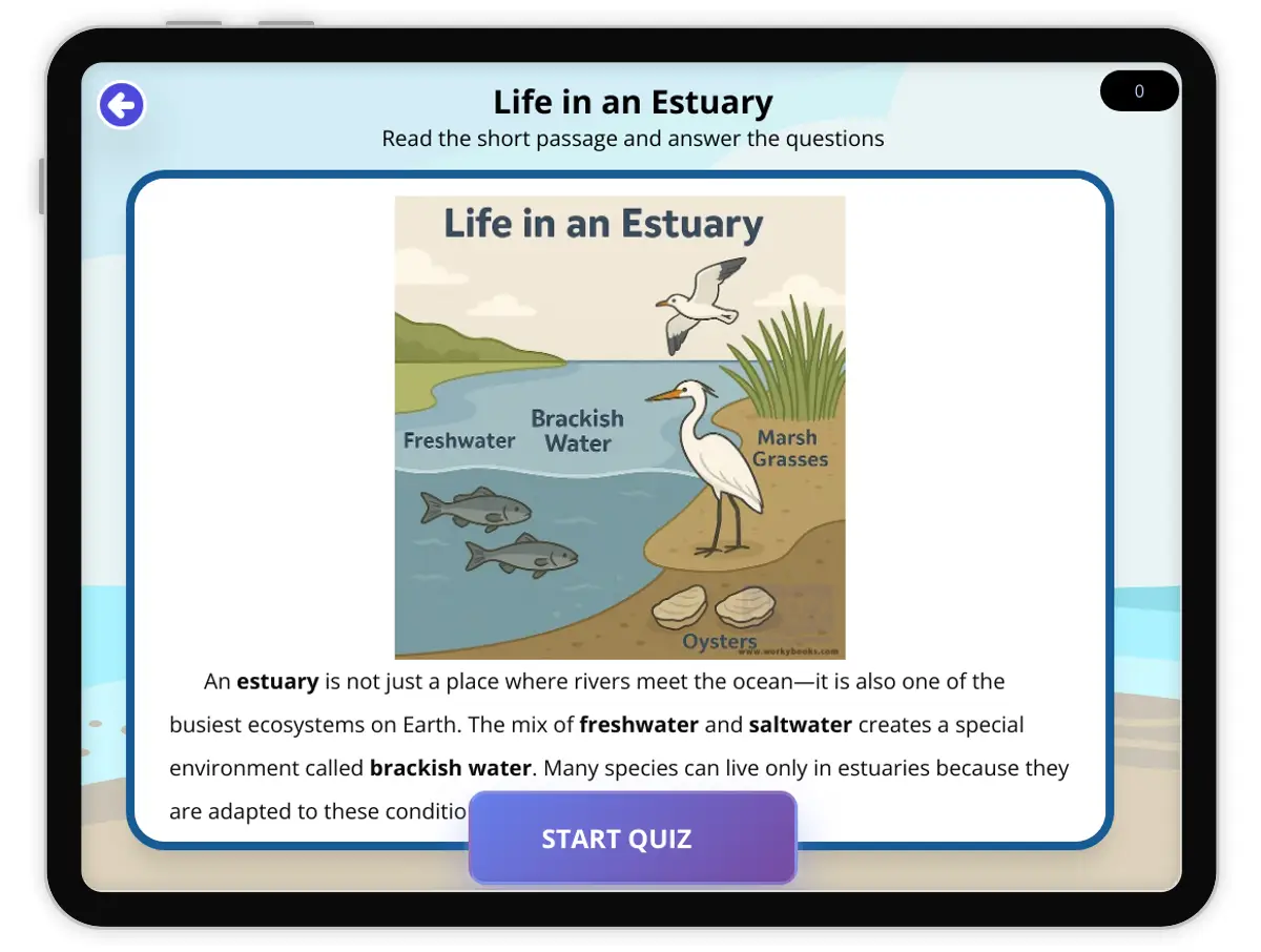 Interactive — Reading Comprehension preview: Life in an Estuary covering  standards - Page 1 of null