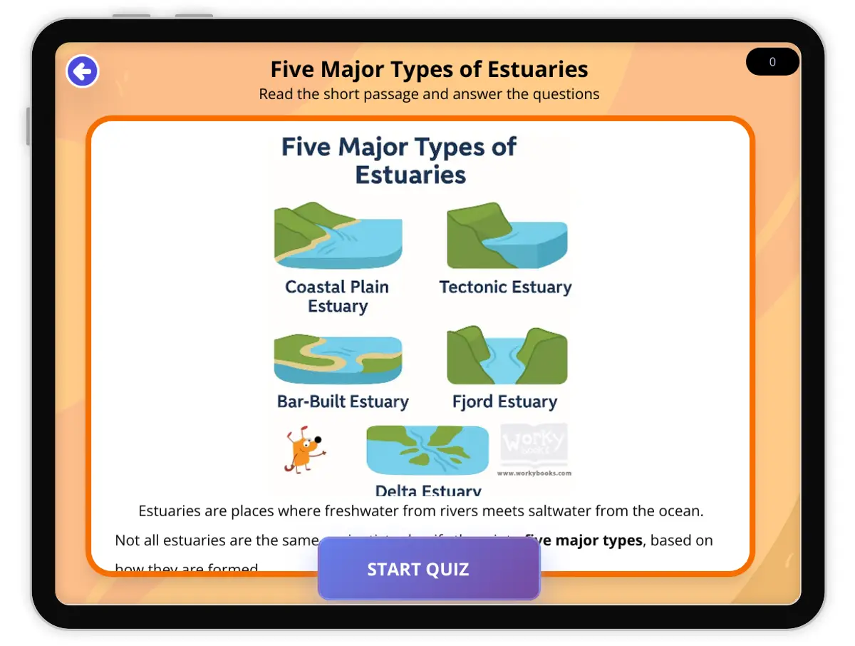 Interactive — Reading Comprehension preview: Five Major Types of Estuaries covering  standards - Page 1 of null