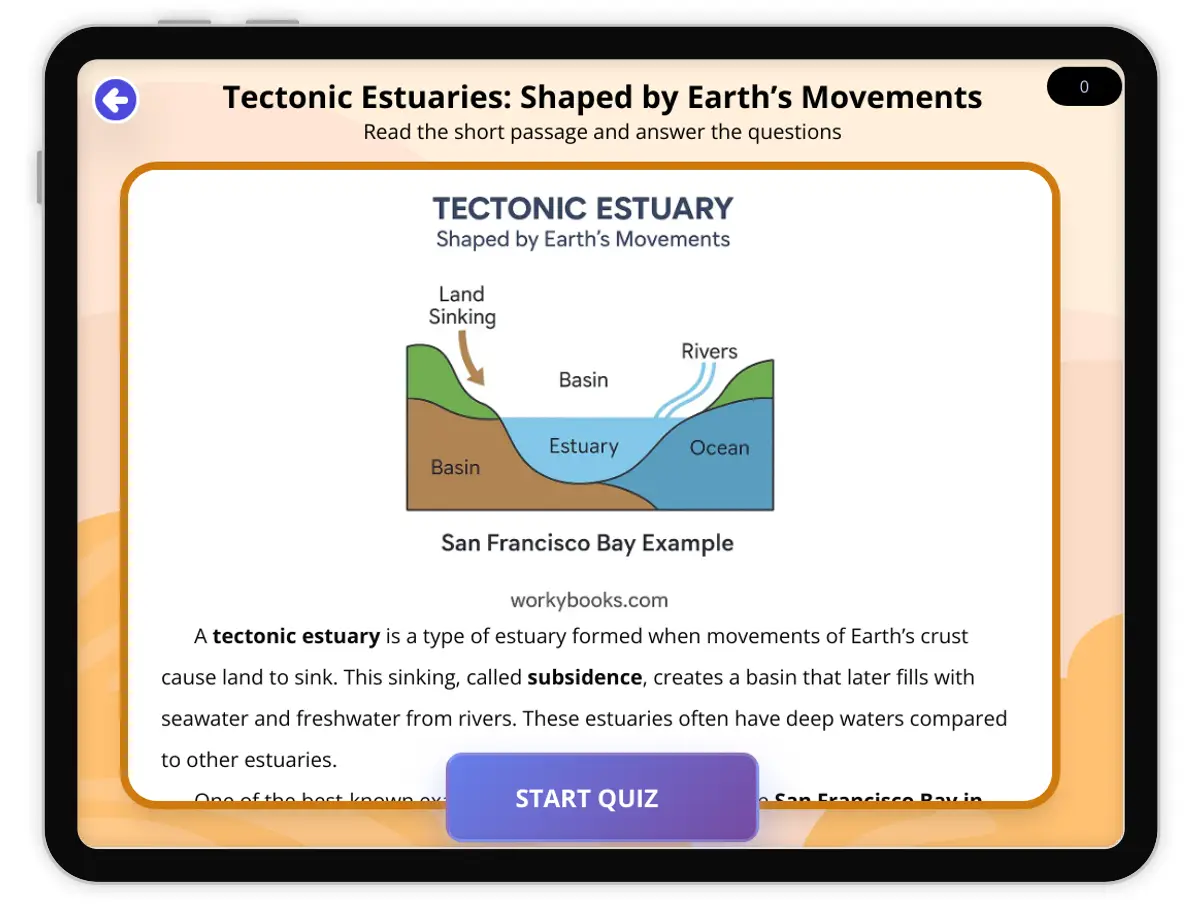 Interactive — Reading Comprehension preview: Tectonic Estuary Example covering  standards - Page 1 of null