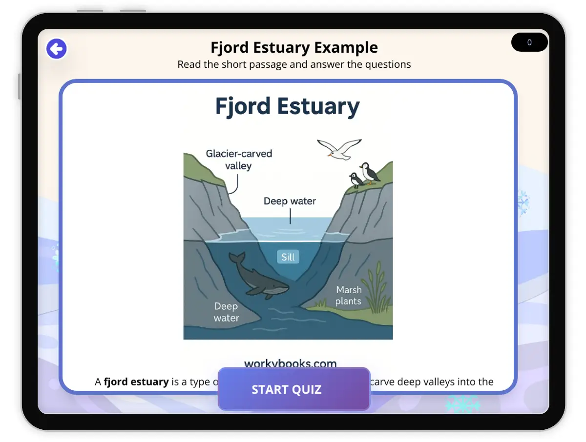 Interactive — Reading Comprehension preview: Fjord Estuary Example covering  standards - Page 1 of null