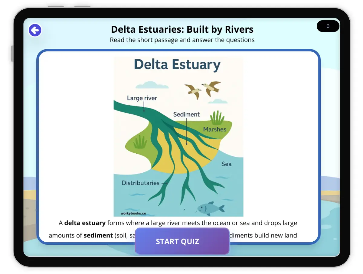 Interactive — Reading Comprehension preview: Delta Estuary Example covering  standards - Page 1 of null