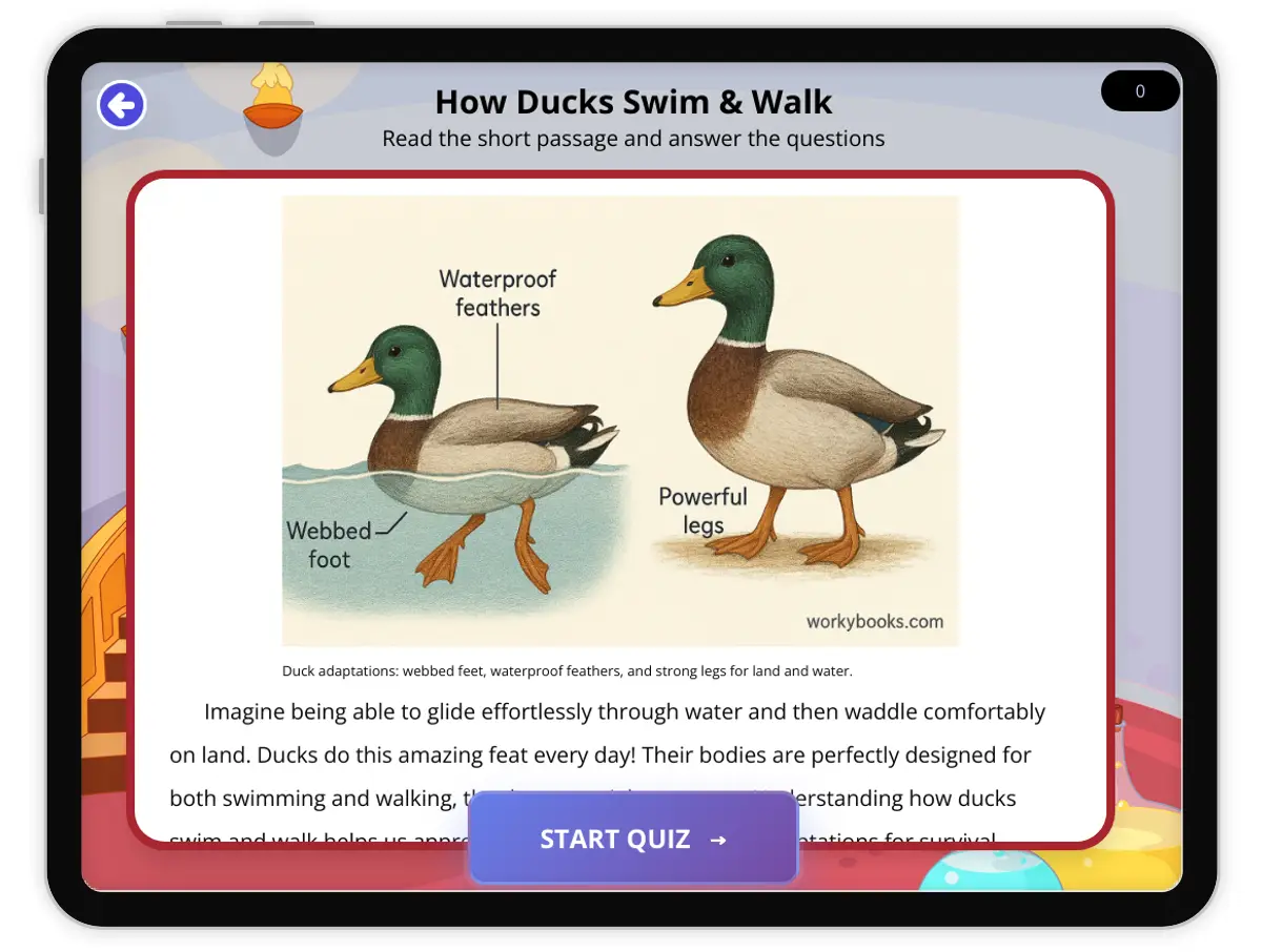 Interactive — Reading Comprehension preview: How Ducks Swim & Walk covering  standards - Page 1 of 1