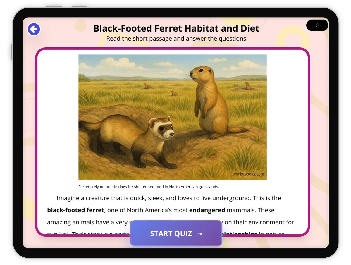 Interactive — Reading Comprehension preview: Black-Footed Ferret Habitat and Diet covering  standards - Page 1 of 1