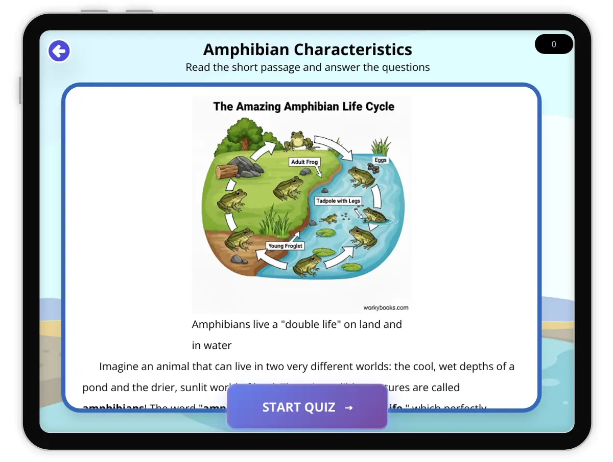 Interactive — Reading Comprehension preview: Characteristics of Amphibians covering  standards - Page 1 of 1