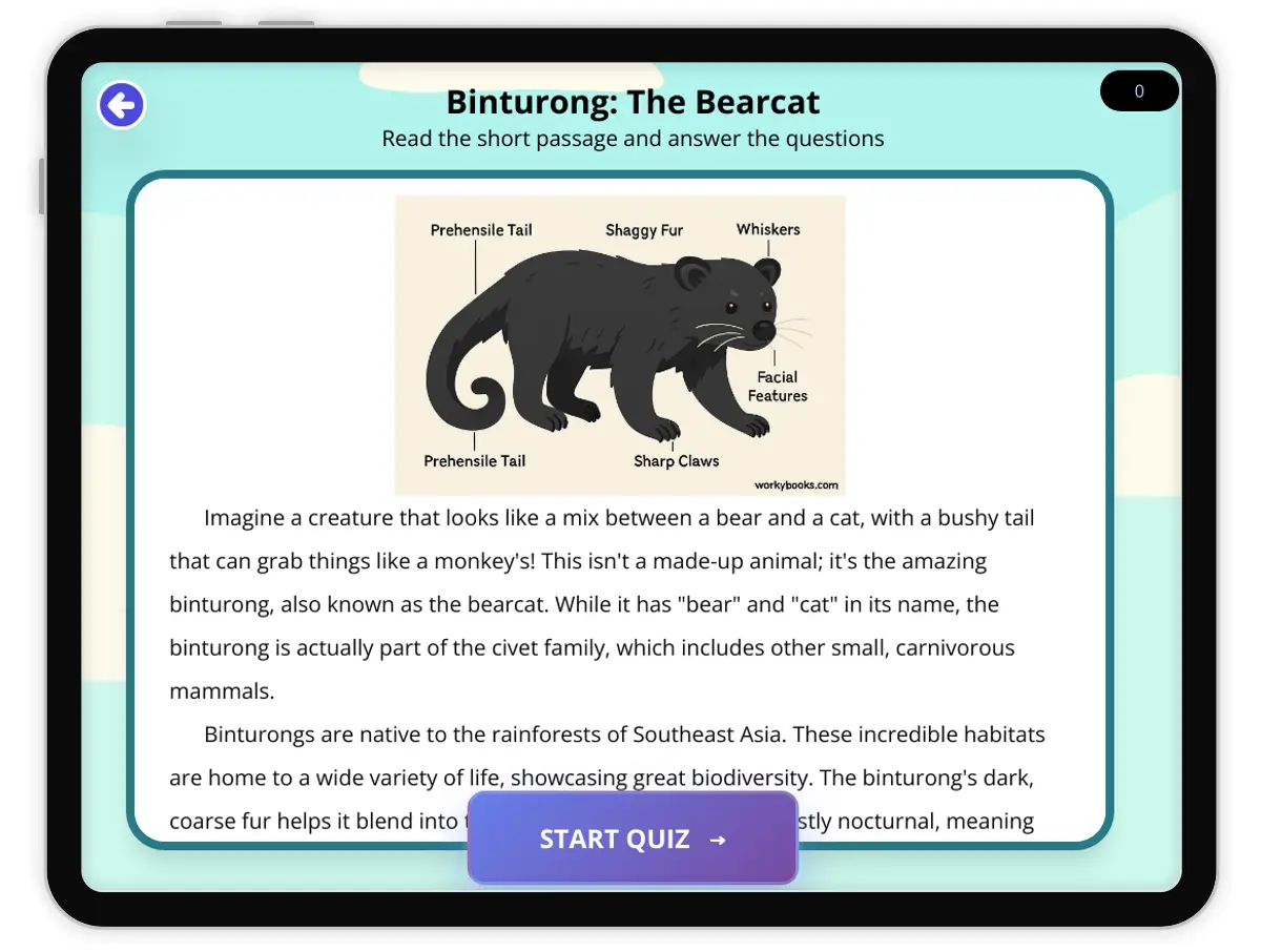 Interactive — Reading Comprehension preview: Binturong: The Bearcat covering  standards - Page 1 of 1