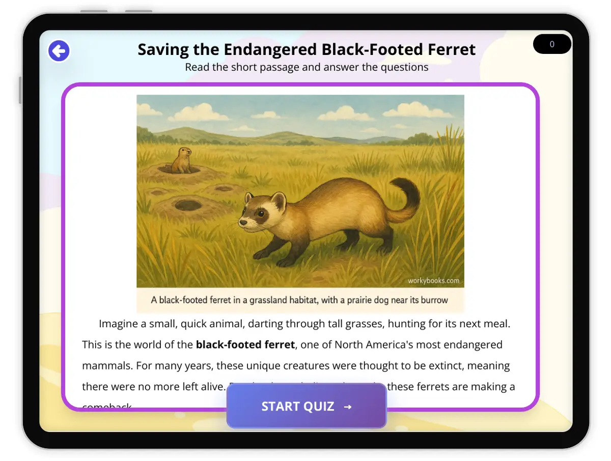 Interactive — Reading Comprehension preview: Saving the Endangered Black-Footed Ferret covering  standards - Page 1 of 1