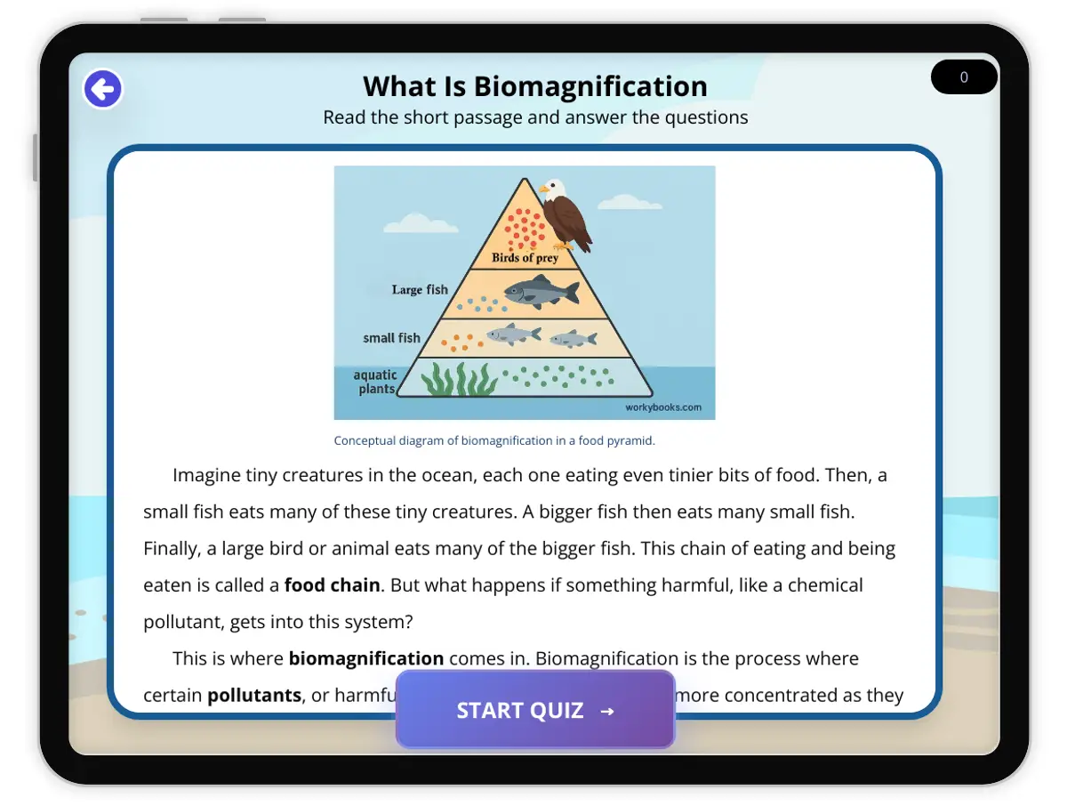 Interactive — Reading Comprehension preview: What Is Biomagnification covering  standards - Page 1 of 1