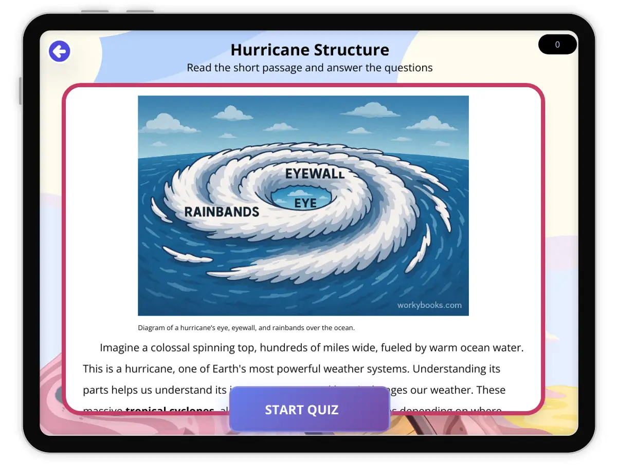 Interactive — Reading Comprehension preview: Hurricane Structure covering  standards - Page 1 of 1