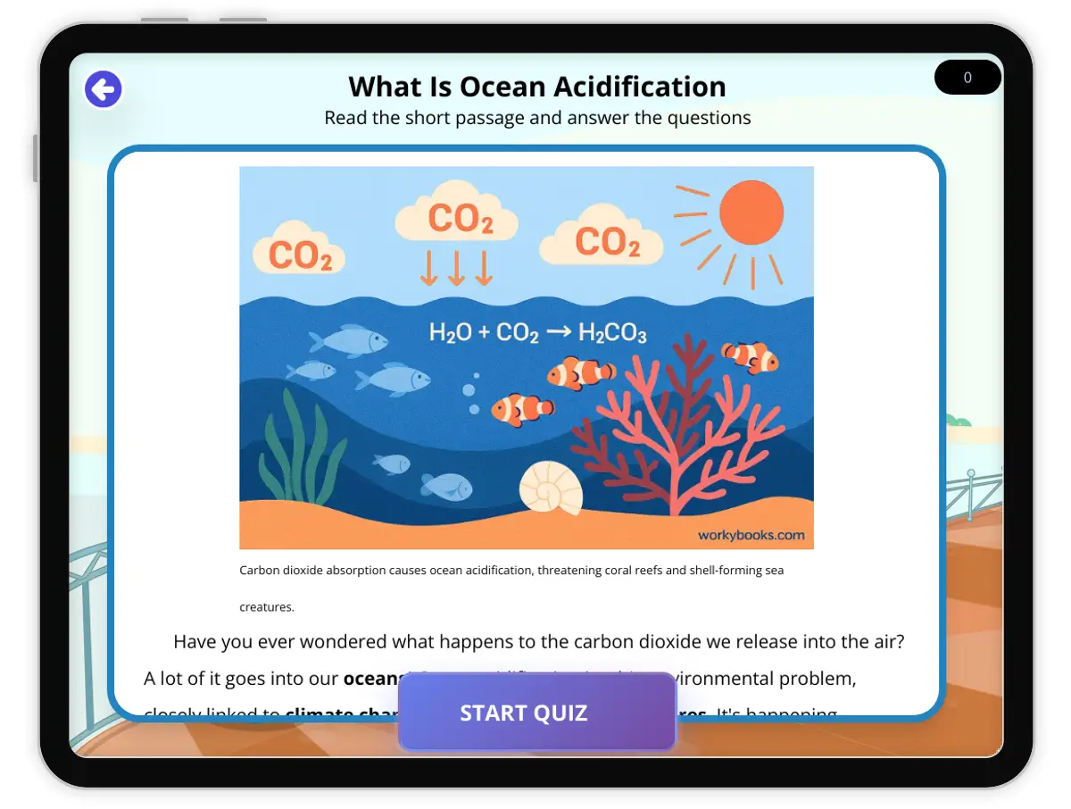Interactive — Reading Comprehension preview: What Is Ocean Acidification covering  standards - Page 1 of 1