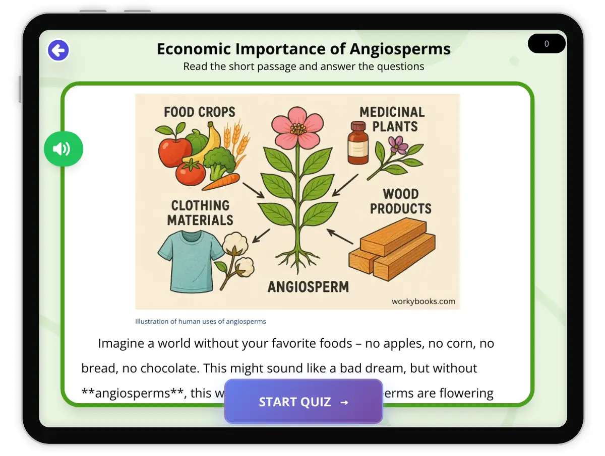 Interactive — Reading Comprehension preview: Economic Importance of Angiosperms covering  standards - Page 1 of 1