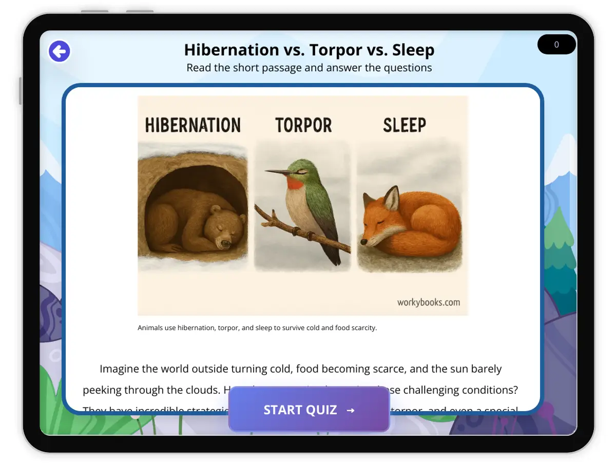 Interactive — Reading Comprehension preview: Hibernation vs. Torpor vs. Sleep covering  standards - Page 1 of 1