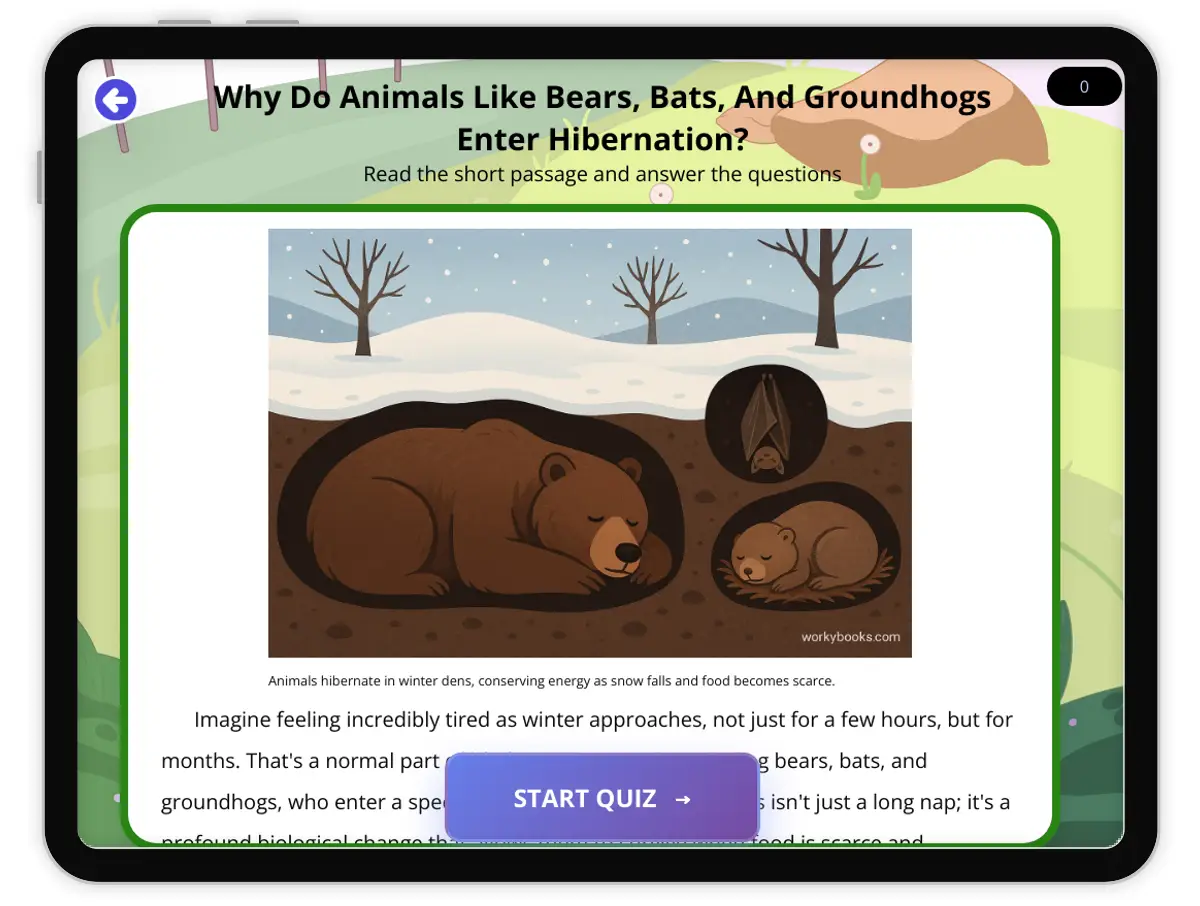Interactive — Reading Comprehension preview: Why Do Animals Like Bears, Bats, And Groundhogs Enter Hibernation? covering  standards - Page 1 of 1